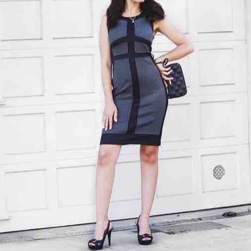 Shannon Snow Scuba Work Play Go Dress